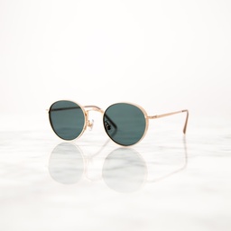 Polarized Sunglasses