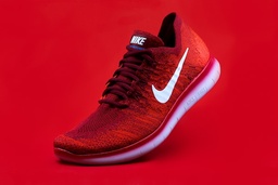 Nike Air Max Sneaker